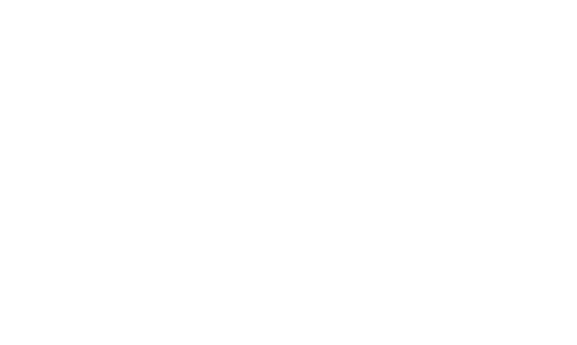 Entrepreneur Coaching